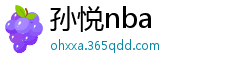 孙悦nba